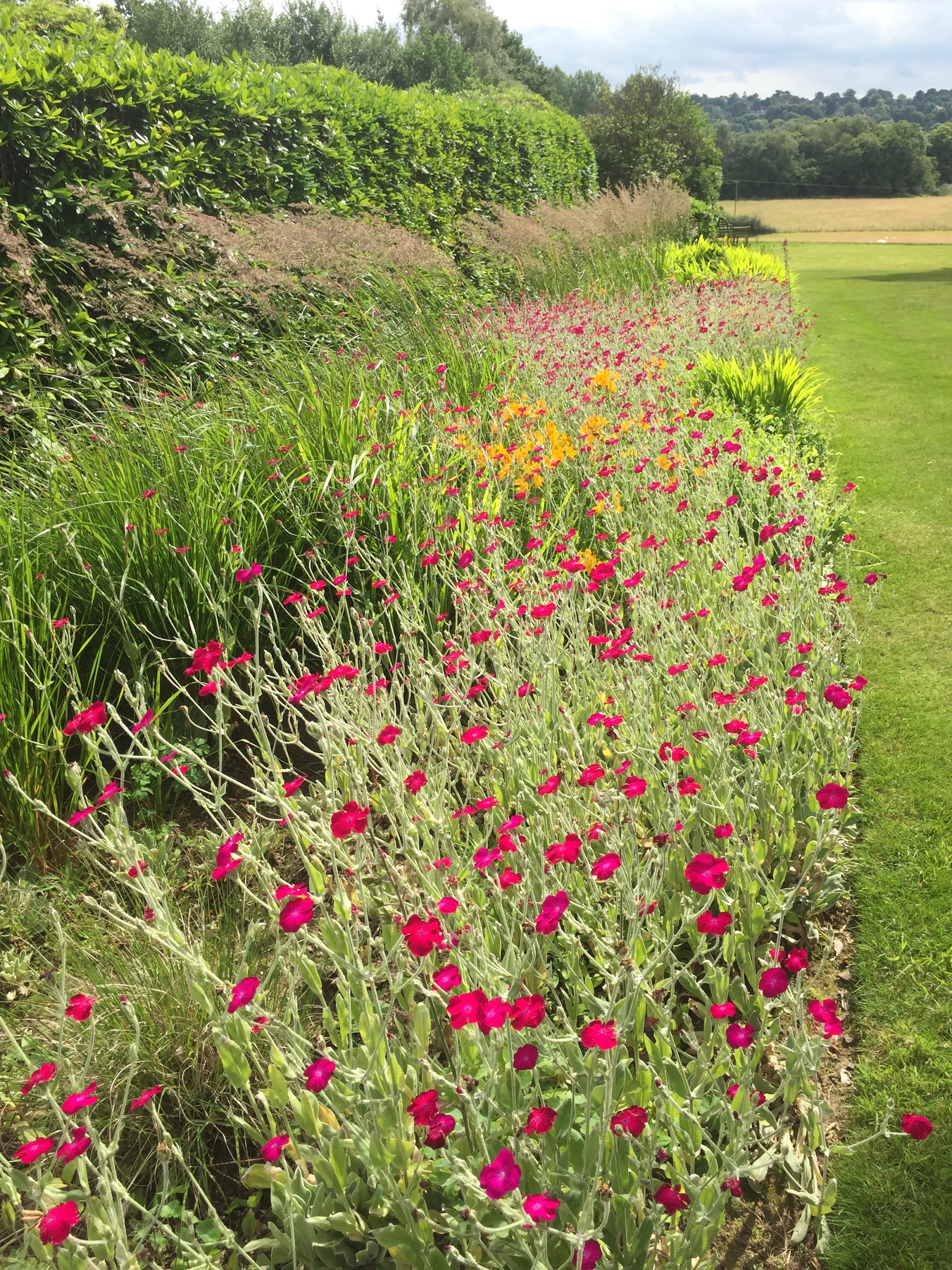 A long border of magenta and orange flowers beside a lawn, with fields beyond