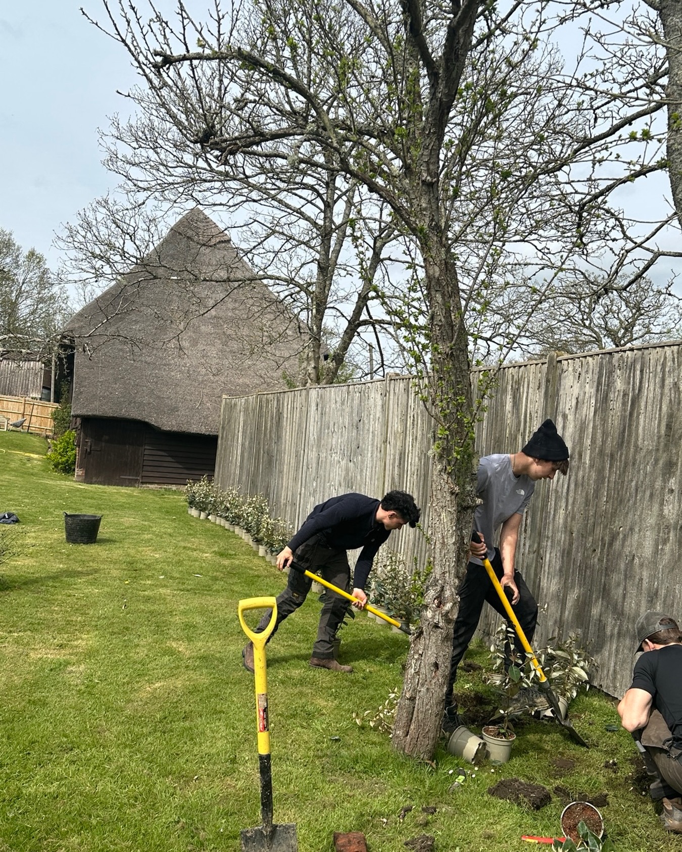 Three of the team digging in a new hedge beside a thatched barn