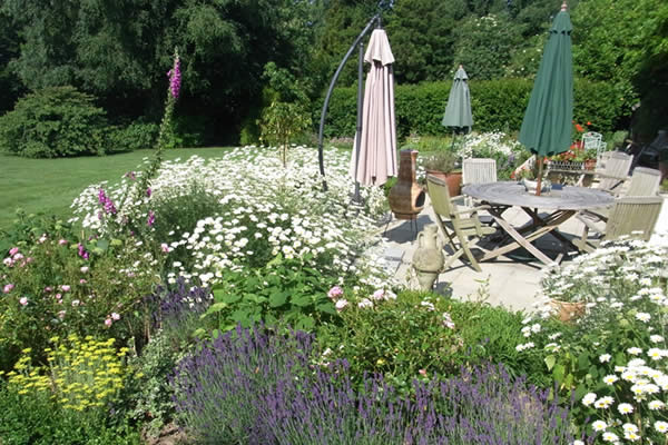 The finished border in flower beside the patio