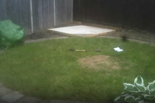 Before: the worn lawn