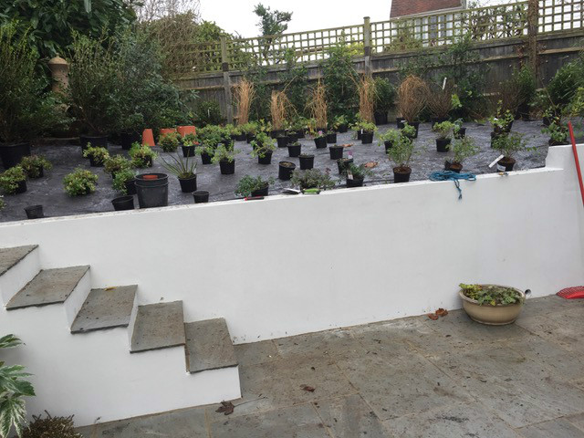 A rendered wall and steps with the new plants laid out ready for planting