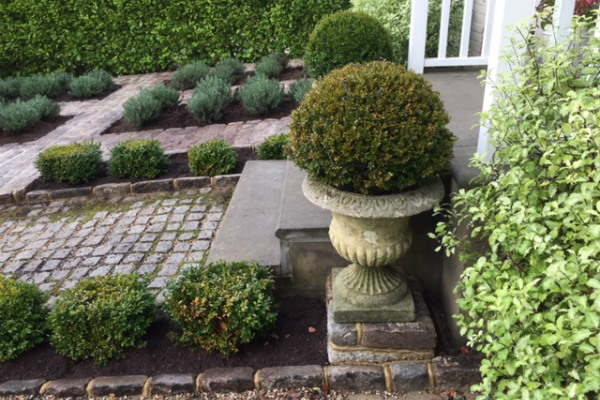 A formal parterre with a stone urn and a clipped topiary ball